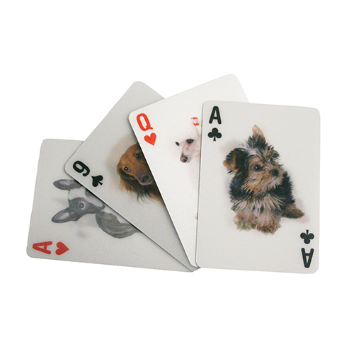 키커랜드 플레잉카드 - 3D 강아지 (GG40)